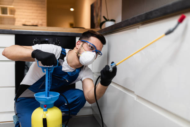 Best Local Pest Control Services  in Munster, IN