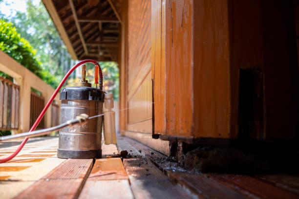Pest Prevention Services in Munster, IN