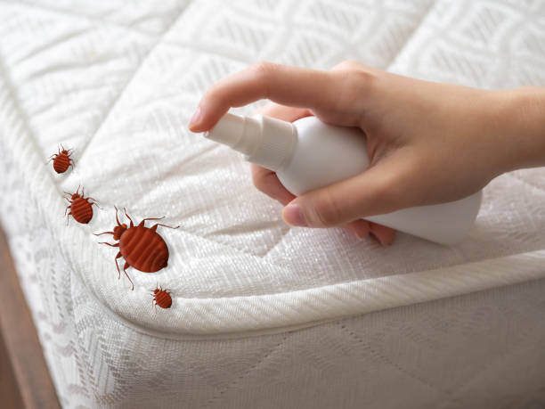 Best Mosquito Control Services  in Munster, IN