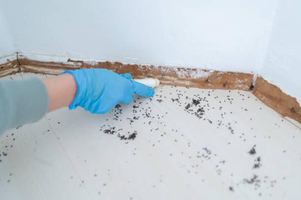 Best Residential Pest Control  in Munster, IN