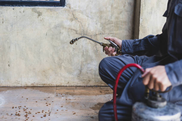 Best Best Pest Control Companies  in Munster, IN